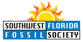 The Southwest Florida Fossil Society